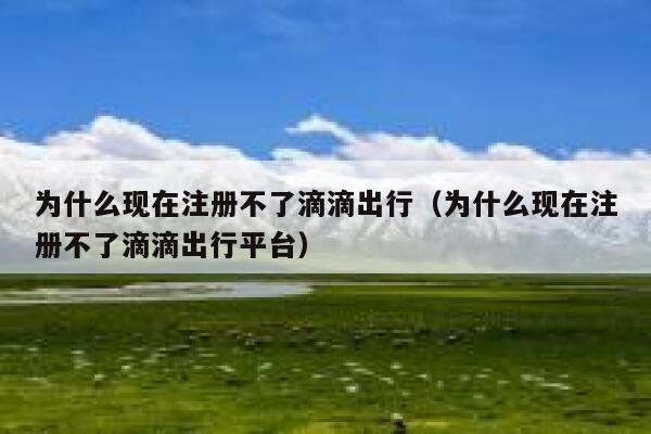 为什么现在注册不了滴滴出行（为什么现在注册不了滴滴出行平台） 第1张