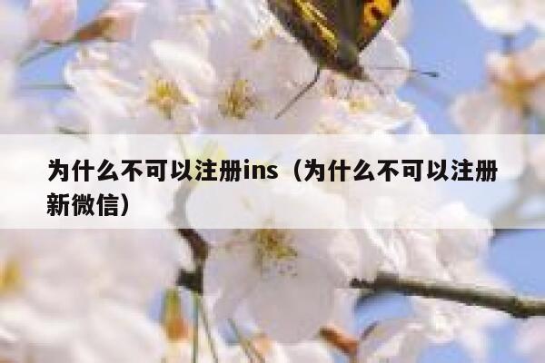 为什么不可以注册ins（为什么不可以注册新微信） 第1张