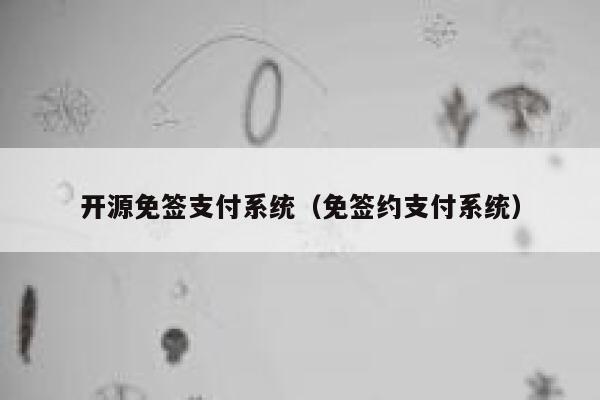 开源免签支付系统（免签约支付系统） 第1张