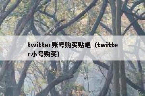 twitter账号购买贴吧（twitter小号购买） 第1张