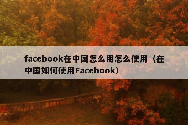 facebook在中国怎么用怎么使用(在中国如何使用Facebook) 第1张 facebook在中国怎么用怎么使用(在中国如何使用Facebook) 第1张