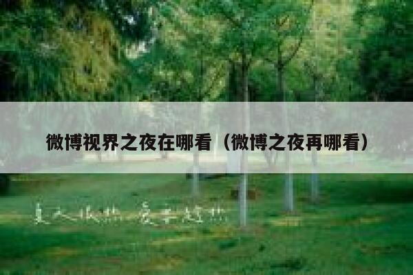 微博视界之夜在哪看（微博之夜再哪看） 第1张