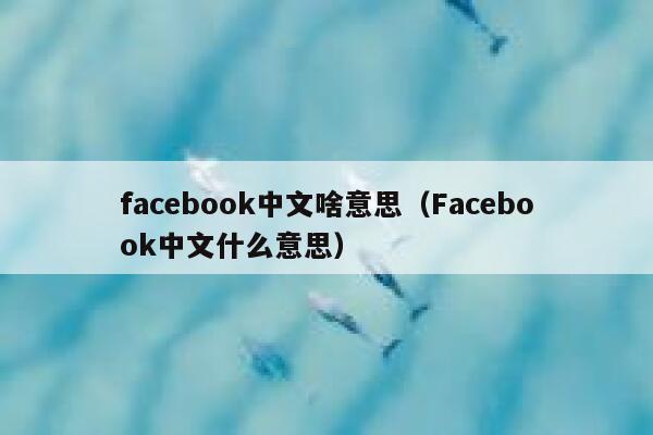 facebook中文啥意思（Facebook中文什么意思） 第1张