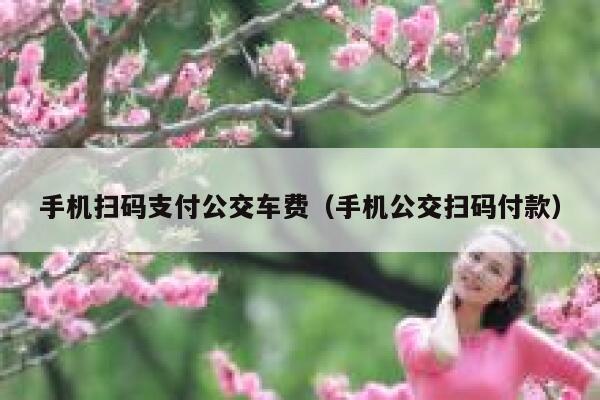 手机扫码支付公交车费（手机公交扫码付款） 第1张