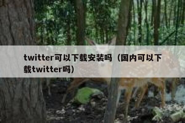 twitter可以下载安装吗（国内可以下载twitter吗） 第1张