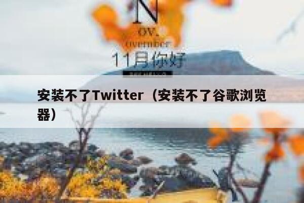 安装不了Twitter（安装不了谷歌浏览器） 第1张