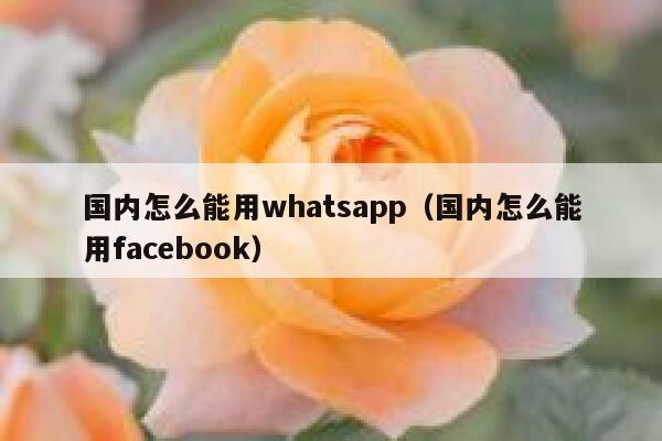 国内怎么能用whatsapp(国内怎么能用facebook) 第1张 国内怎么能用whatsapp(国内怎么能用facebook) 第1张