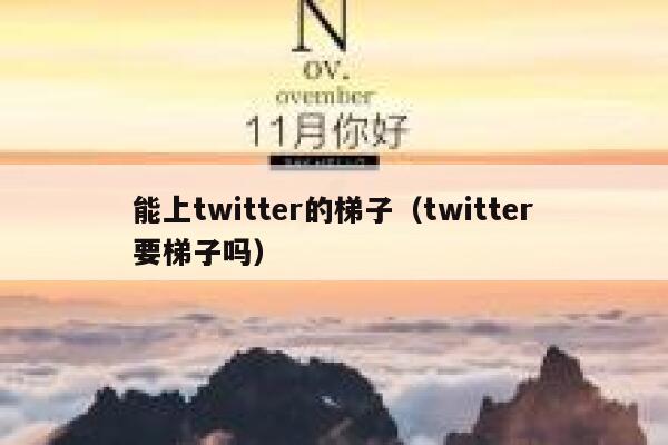 能上twitter的梯子（twitter要梯子吗） 第1张