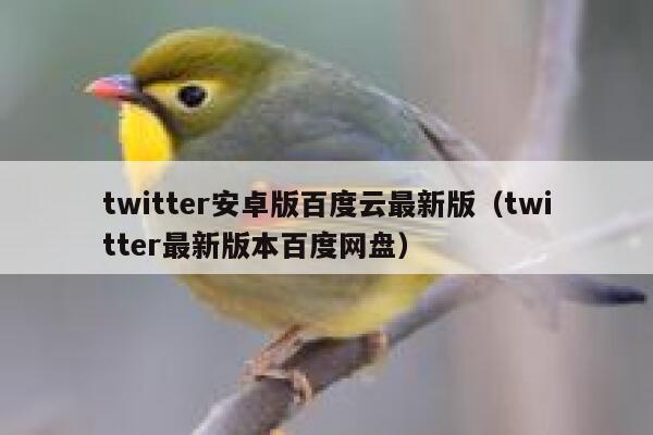twitter安卓版百度云最新版（twitter最新版本百度网盘） 第1张