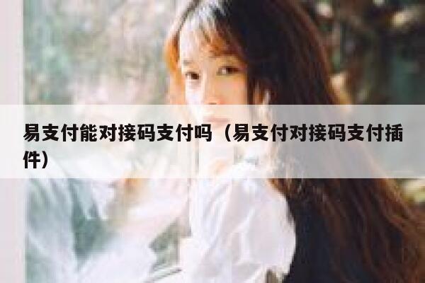 易支付能对接码支付吗(易支付对接码支付插件) 第1张 易支付能对接码支付吗(易支付对接码支付插件) 第1张