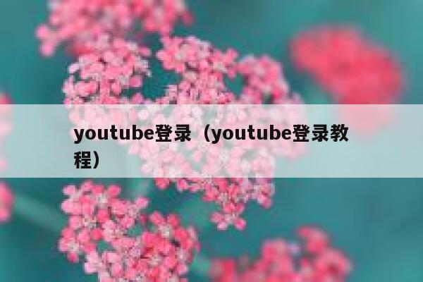 youtube登录（youtube登录教程） 第1张
