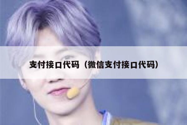 支付接口代码（微信支付接口代码） 第1张