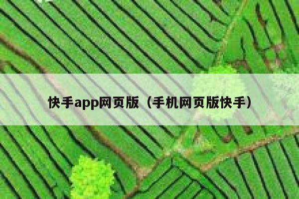 快手app网页版（手机网页版快手） 第1张