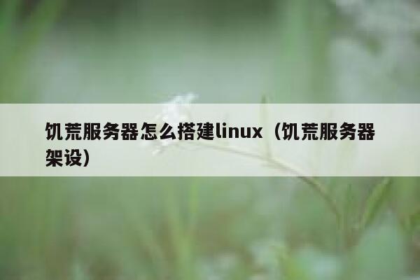 饥荒服务器怎么搭建linux(饥荒服务器架设) 第1张 饥荒服务器怎么搭建linux(饥荒服务器架设) 第1张