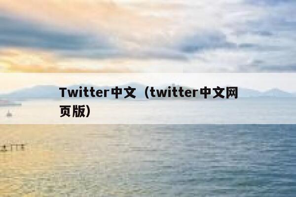 Twitter中文（twitter中文网页版） 第1张