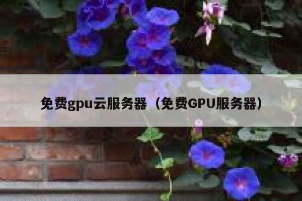 免费gpu云服务器（免费GPU服务器） 第1张