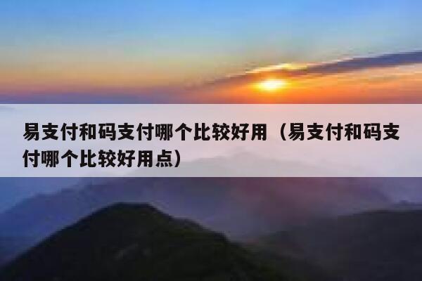 易支付和码支付哪个比较好用（易支付和码支付哪个比较好用点） 第1张