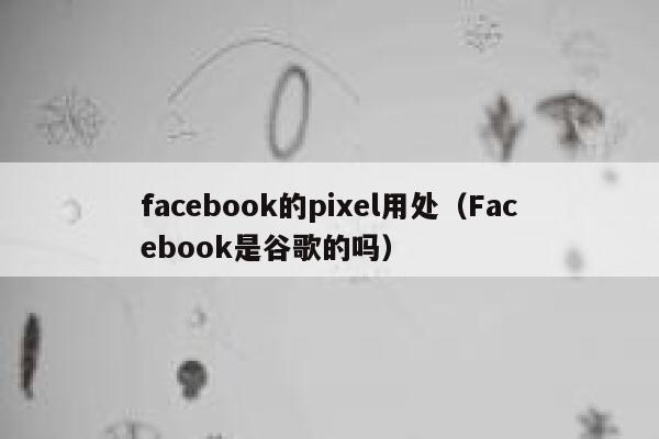 facebook的pixel用处(Facebook是谷歌的吗) 第1张 facebook的pixel用处(Facebook是谷歌的吗) 第1张