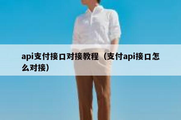 api支付接口对接教程(支付api接口怎么对接) 第1张 api支付接口对接教程(支付api接口怎么对接) 第1张