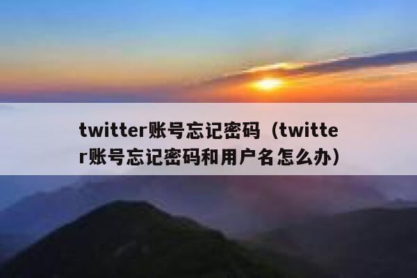 twitter账号忘记密码（twitter账号忘记密码和用户名怎么办） 第1张