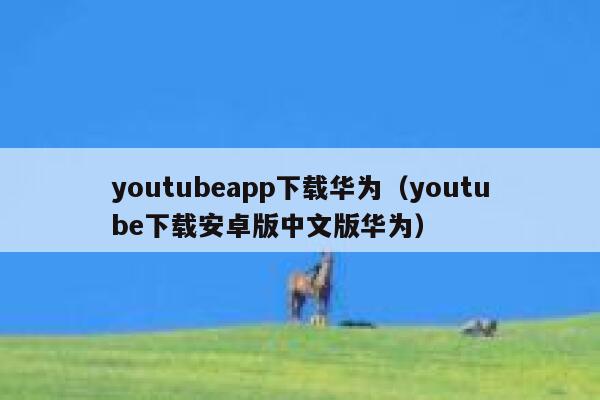youtubeapp下载华为（youtube下载安卓版中文版华为） 第1张