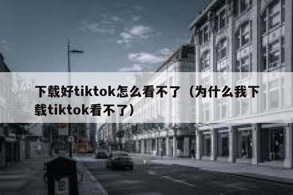下载好tiktok怎么看不了（为什么我下载tiktok看不了） 第1张