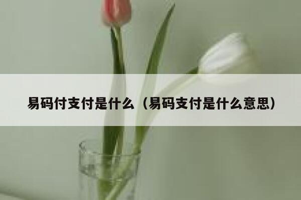 易码付支付是什么（易码支付是什么意思） 第1张