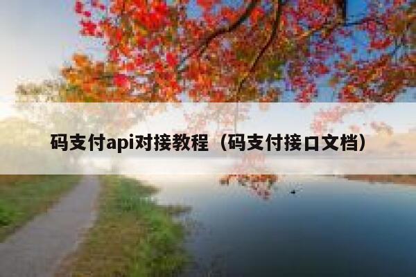 码支付api对接教程（码支付接口文档） 第1张