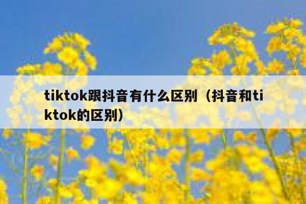 tiktok跟抖音有什么区别(抖音和tiktok的区别) 第1张 tiktok跟抖音有什么区别(抖音和tiktok的区别) 第1张
