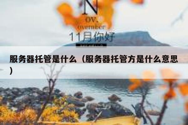 服务器托管是什么（服务器托管方是什么意思） 第1张