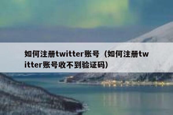 如何注册twitter账号（如何注册twitter账号收不到验证码） 第1张
