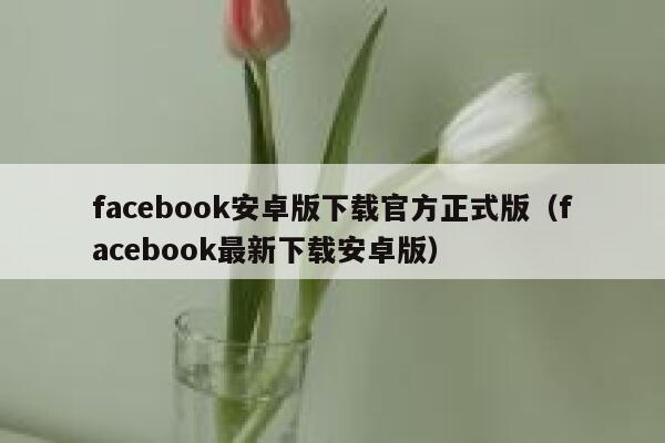 facebook安卓版下载官方正式版（facebook最新下载安卓版） 第1张