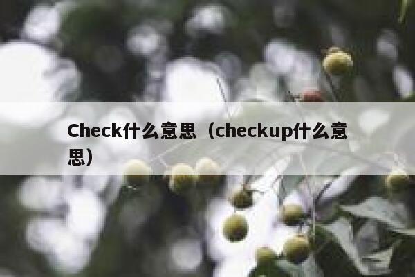 Check什么意思（checkup什么意思） 第1张