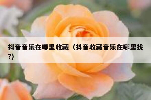 抖音音乐在哪里收藏（抖音收藏音乐在哪里找?） 第1张