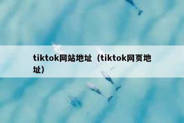 tiktok网站地址（tiktok网页地址） 第1张