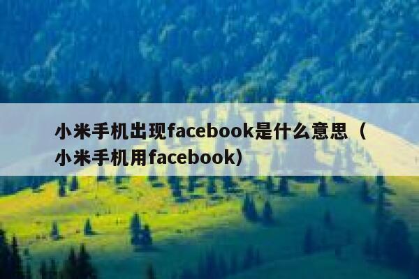 小米手机出现facebook是什么意思(小米手机用facebook) 第1张 小米手机出现facebook是什么意思(小米手机用facebook) 第1张