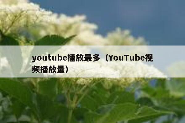 youtube播放最多（YouTube视频播放量） 第1张