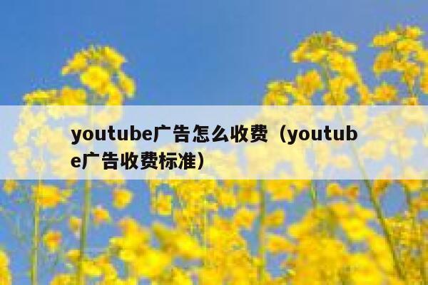 youtube广告怎么收费(youtube广告收费标准) 第1张 youtube广告怎么收费(youtube广告收费标准) 第1张