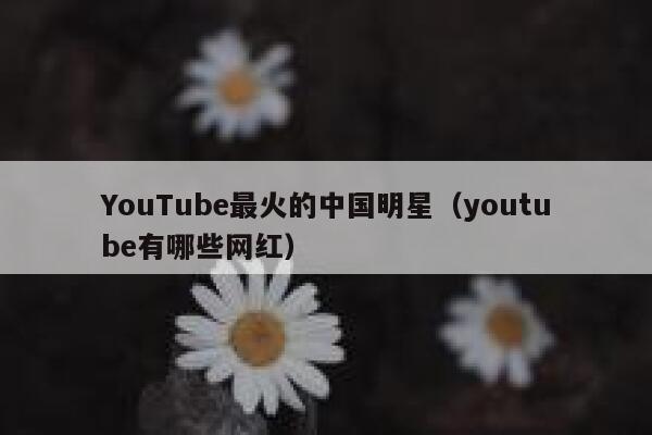 YouTube最火的中国明星（youtube有哪些网红） 第1张
