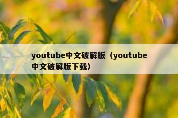 youtube中文破解版（youtube中文破解版下载） 第1张