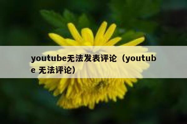 youtube无法发表评论（youtube 无法评论） 第1张