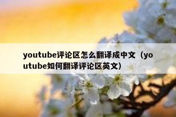 youtube评论区怎么翻译成中文（youtube如何翻译评论区英文） 第1张