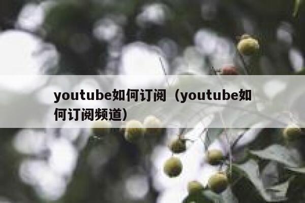 youtube如何订阅（youtube如何订阅频道） 第1张