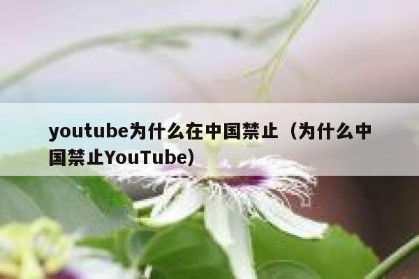youtube为什么在中国禁止（为什么中国禁止YouTube） 第1张