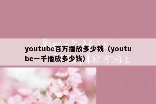youtube百万播放多少钱（youtube一千播放多少钱） 第1张