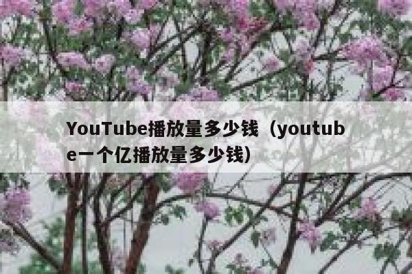 YouTube播放量多少钱（youtube一个亿播放量多少钱） 第1张