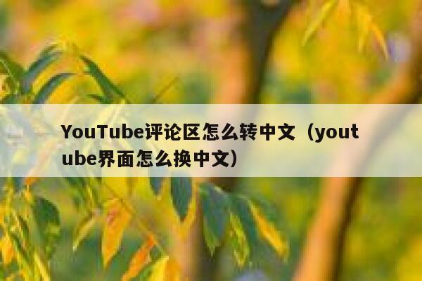 YouTube评论区怎么转中文（youtube界面怎么换中文） 第1张
