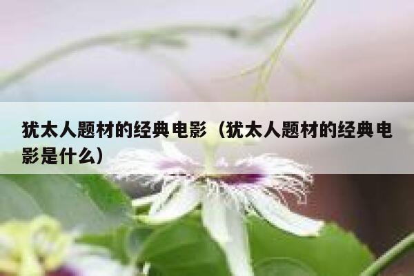 犹太人题材的经典电影（犹太人题材的经典电影是什么） 第1张