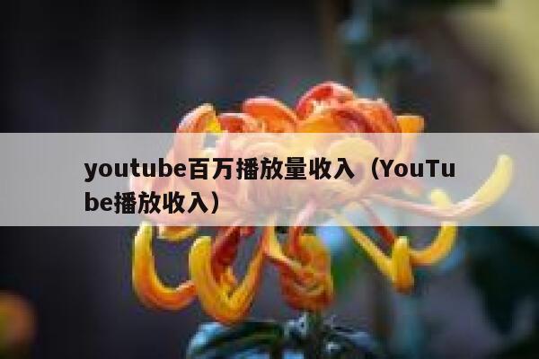 youtube百万播放量收入（YouTube播放收入） 第1张