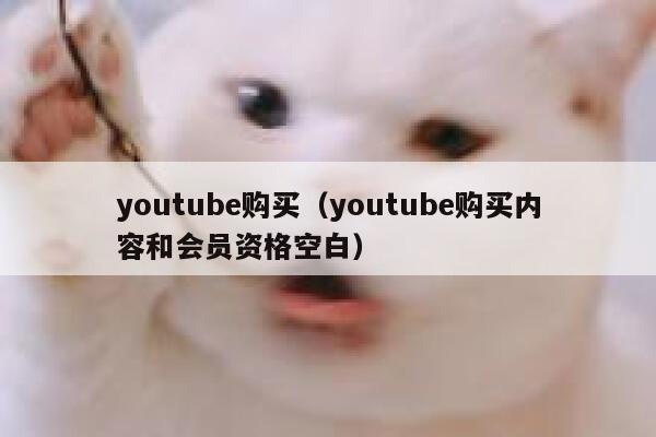 youtube购买（youtube购买内容和会员资格空白） 第1张